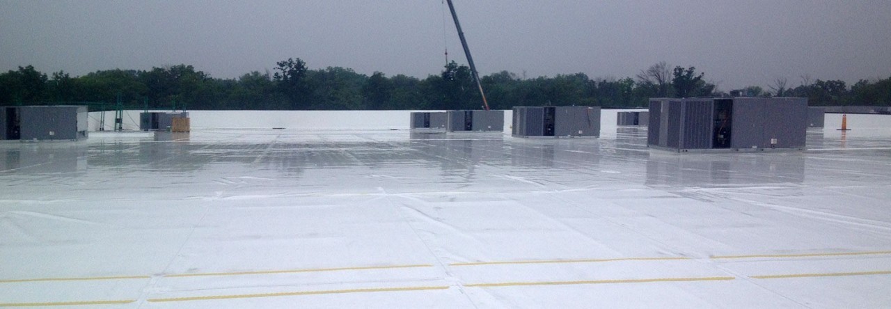 Single Ply Thermoplastic (TPO) Roof