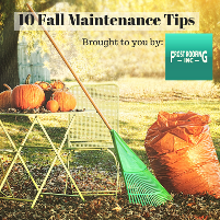 fall roof maintenance tips 