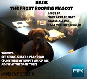 roofing company mascot 